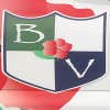 Blooming Vista Landscape and Design Inc logo