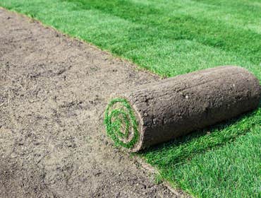 Landscaping Projects
