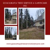 Photos by Guacamaya Tree Service & Lawncare Inc #3