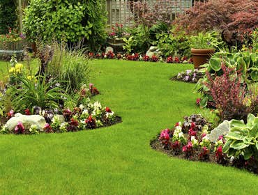 Photos by Maci Landscaping Services LLC #1