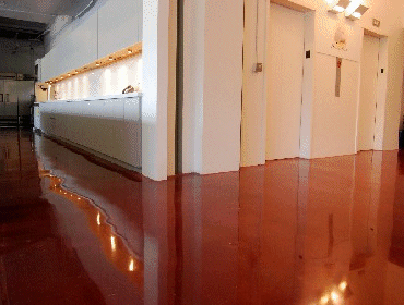 Projects by Premier Carpet Inc Dba Green Polishing Solutions