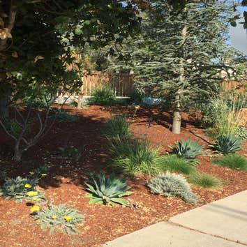 Photos from Superior Landscaping Service