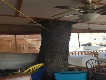 Photo(s) from Treeworkz, LLC