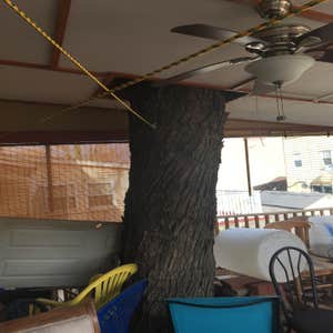 Photo(s) from Treeworkz, LLC