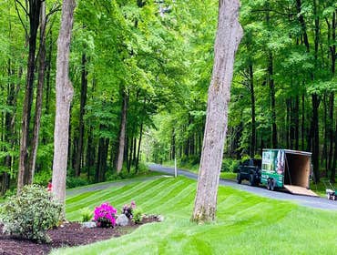 Photos by Diaz Tree Service & Landscaping LLC #12