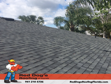 Photos by Red dog's Roofing of Florida #1