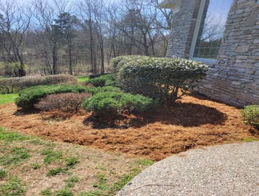 Photos by Alberto Alavez Professional Lawn Services LLC #11