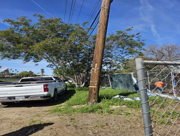 Photos by Master of Tree Care Services Inc #3