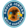 Mold Remediation South Jordan Experts logo