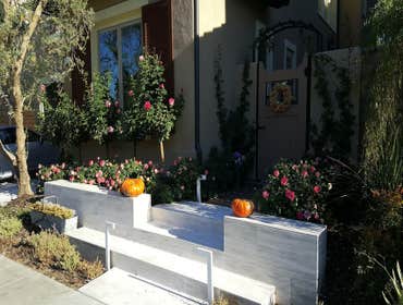 123 bridle path
