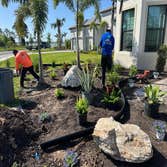 Photos by 941 Tree Services LLC #3