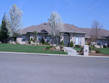 Custom Homes