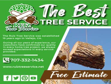 Photos by Ruiz Tree Service #5
