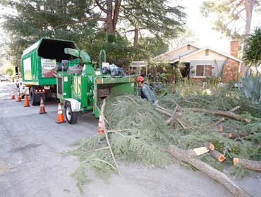 Photos by California Green Tree Care #1