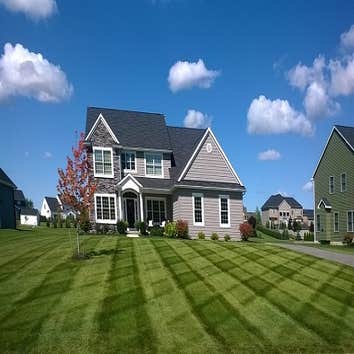 Cj Cutting Edge Lawn & Landscape