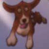 Flyin Dog Renovations logo