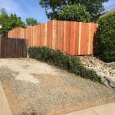 Photos by Froggy Fence #1