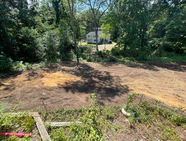Photos by American Pride Tree Experts & Landscaping Inc #38