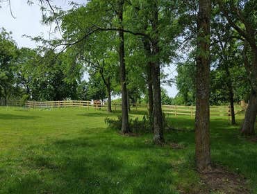 Fences