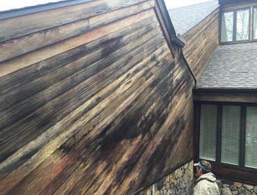 Photos from Kitway Painting & Services LLC