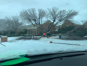 Photos by K-perez Tree Services #1