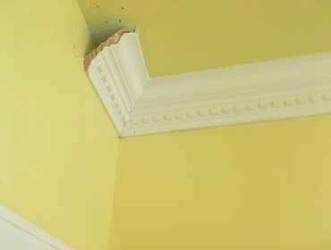 Photos by Samuel Construction Group LLC #1