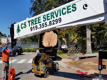Photo(s) from Cs Tree Services
