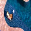 Waters Edge Pools, LLC logo
