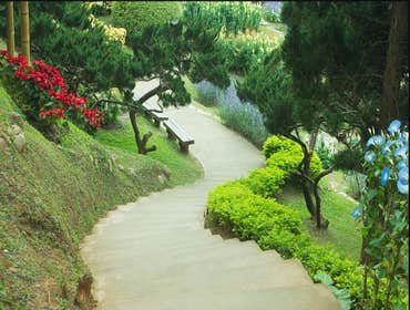 Photos from Summer Sun Landscape