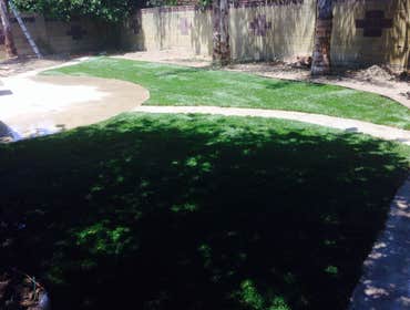 After sod installation