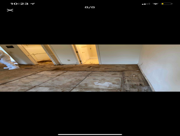 Water Damage / Mold Job