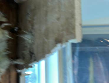 Water Mitigation This project was a roof leak the photos show initial inspection to post demo.