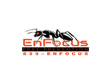 Photos by Enfocus Pest Prevention #1