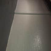 Mold Remediation (finish )