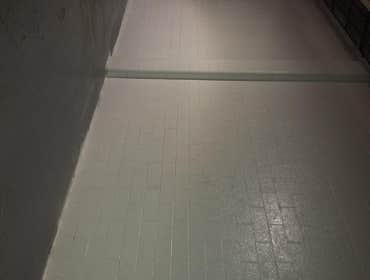 Mold Remediation (finish )