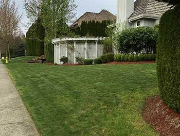 Photos from Newport Landscape Services LLC