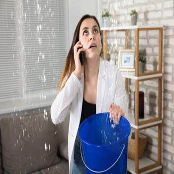 Executive Springfield Water Damage Remediation