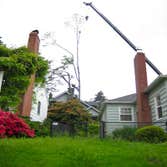 Photos from General Tree Service