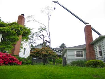 Photos from General Tree Service