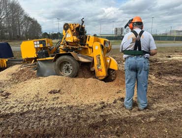 Photos by Stump Pros Forestry and Land #1