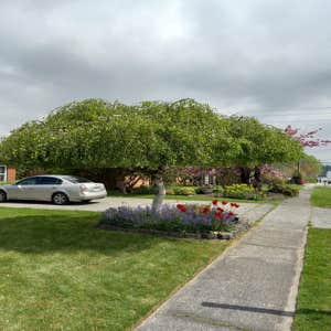 Photos by New Landscape LLC #5