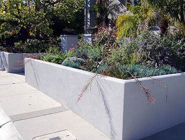 Waterwise Landscaping Ideas