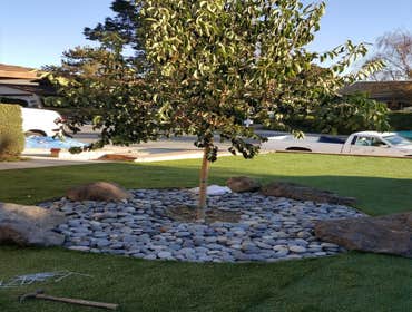 Landscaping Projects