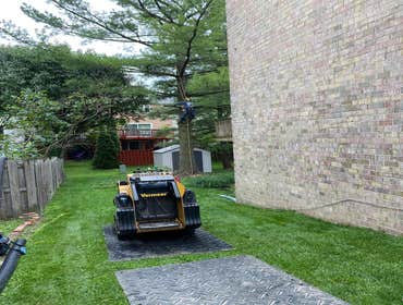 Photos by M&w Tree and Landscaping LLC #1