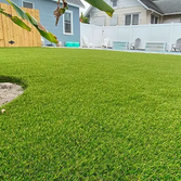 Top Notch Turf