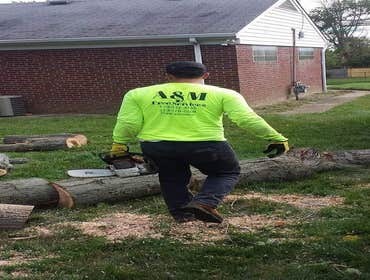 Photos by A&m Tree Services LLC #1
