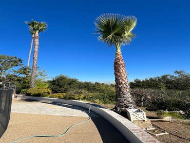 Photos by California Green Tree Care #1