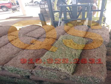 Bermuda Sod Pallet Tulsa