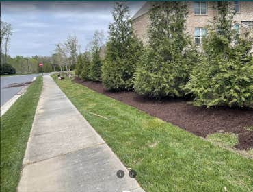 Photos by Golden Rose Landscaping LLC #4