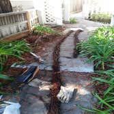 Clear Drain plumbing